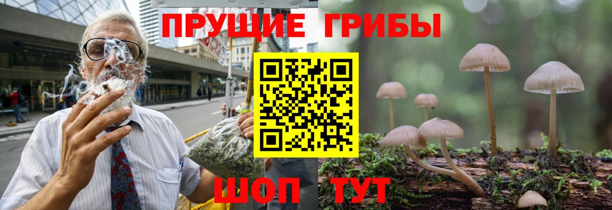 Галлюциногенные грибы Magic Shrooms Воткинск